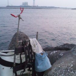 河口にて、チヌフカセ！！