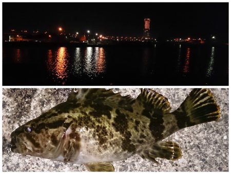 泉佐野　メバリング釣行もメバルいない～～