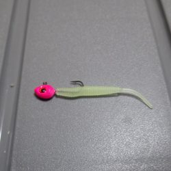 福井県和田　根魚のアタリは多かったです。