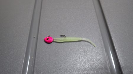 福井県和田　根魚のアタリは多かったです。