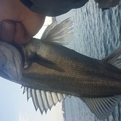 贅沢な‥…………(^-^;