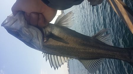 贅沢な‥…………(^-^;