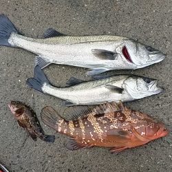 記録更新と今年初