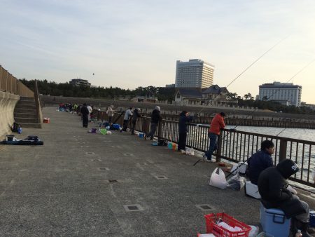 釣果情報 便乗して、サヨリ釣り ！