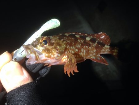 この風はあかん！