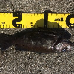 ガツっ！ギュンギュギューン‼︎