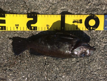 ガツっ！ギュンギュギューン‼︎