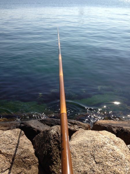 高砂埋立地 チヌの観察日記