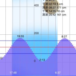 ロックフィッシュ