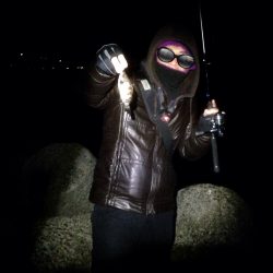 久々のおメバル…しかし後が続かず