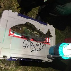 アジ狙いでまさかのポン!?