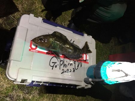 アジ狙いでまさかのポン!?