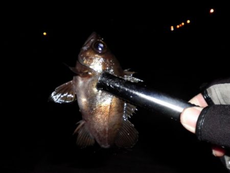 前回の釣行とはうってかわって・・・