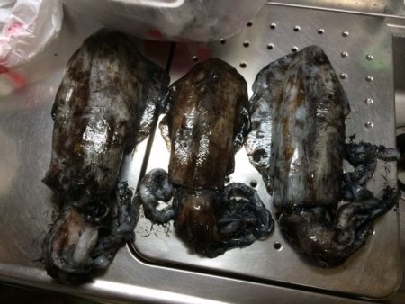 南紀ヤエン釣行！