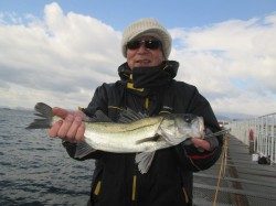 尼崎市立魚つり公園　エビ撒きでハネ＆セイゴ＆チヌ