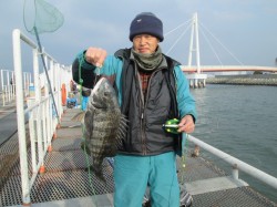 尼崎市立魚つり公園　お見事５１ｃｍの年無し…