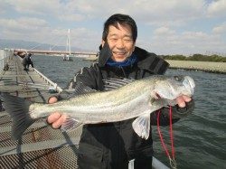 尼崎市立魚つり公園 チヌ6枚にセイゴとウミタナゴの釣果