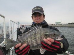 尼崎市立魚つり公園 シラサでハネ・チヌ