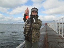 尼崎市立魚つり公園　シラサエビでチヌ・ハネ