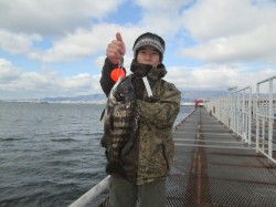 尼崎市立魚つり公園　シラサエビでチヌ・ハネ…