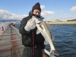 尼崎市立魚つり公園　シラサエビでチヌ・ハネ
