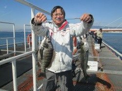 尼崎市立魚つり公園にてハネ　中層から底を狙ってください