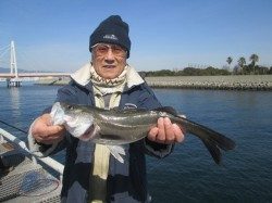 尼崎市立魚つり公園にてハネ　中層から底を狙ってください