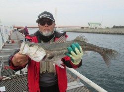 尼崎市立魚つり公園 午後からスズキクラスが２本！