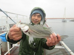 尼崎市立魚つり公園でセイゴ〜難しい日の値打…