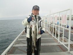 尼崎市立魚つり公園のエビ撒きでスズキ 春までは大物の期待大♪