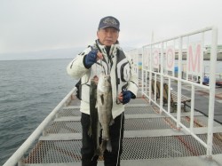尼崎市立魚つり公園のエビ撒きでスズキ 春ま…