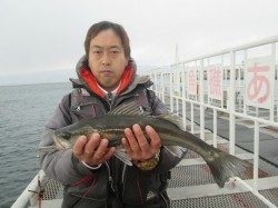 尼崎市立魚つり公園のエビ撒きでスズキ 春までは大物の期待大♪