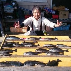 萩尾の磯にてグレ好調！30UPを20尾