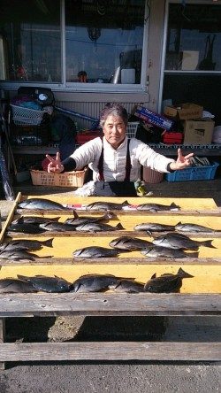 萩尾の磯にてグレ好調！30UPを20尾