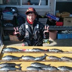 萩尾の磯にてグレ好調！30UPを20尾