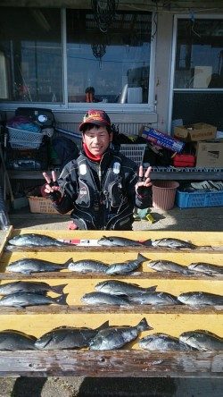 萩尾の磯にてグレ好調！30UPを20尾