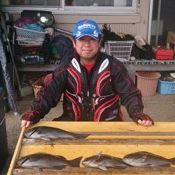 萩尾の磯でのグレ釣果　大平瀬で18尾、大イナヤで40cmなど