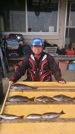 萩尾の磯でのグレ釣果　大平瀬で18尾、大イナヤで40cmなど