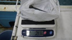 白浜町見草　3投目のファーストフォールでア…