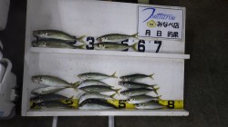 田辺市文里にて良型丸アジ29cmまでを１９…