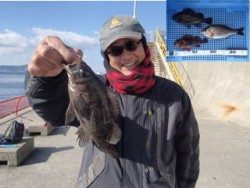 平磯海釣り公園　ウキ流し釣りでメバル・ガシラ・タナゴ