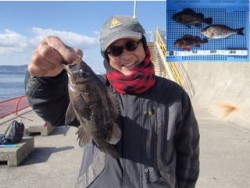 平磯海釣り公園　ウキ流し釣りでメバル・ガシ…