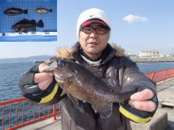 平磯海づり公園　落とし込みでナイスサイズの…