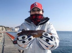 神戸市立平磯海づり公園 胴突でアイナメ