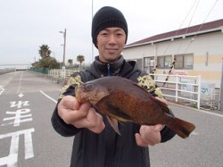 平磯海釣り公園　落とし込みでメバル26cm…