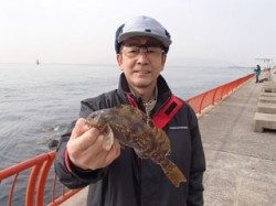 平磯海づり公園　落とし込みでアイナメをキャッチ