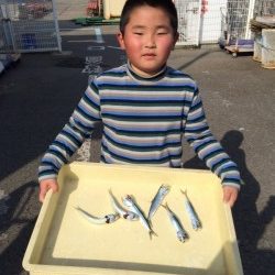 和歌山マリーナシティ海釣り公園　サビキ釣りでイワシ