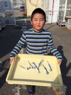 和歌山マリーナシティ海釣り公園　サビキ釣り…