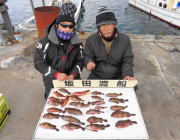 黒島の磯にてガシラよく釣れました