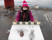 黒島の筏 ヤエンでアオリイカ&コウイカ